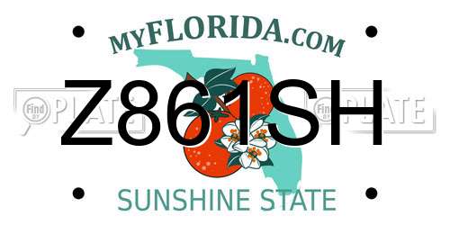 Z861SH Florida License Plate