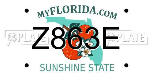 Z863E Florida License Plate