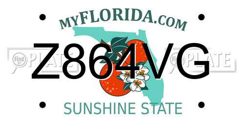 Z864VG Florida License Plate