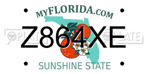 Z864XE Florida License Plate