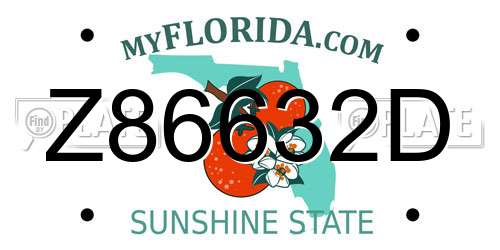 Z86632D Florida License Plate