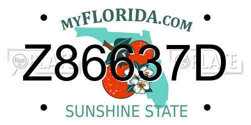 Z86637D Florida License Plate