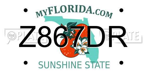 Z867DR Florida License Plate
