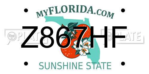 Z867HF Florida License Plate