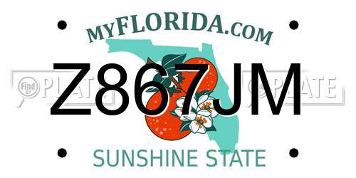 Z867JM Florida License Plate