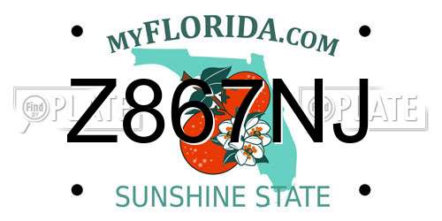 Z867NJ Florida License Plate