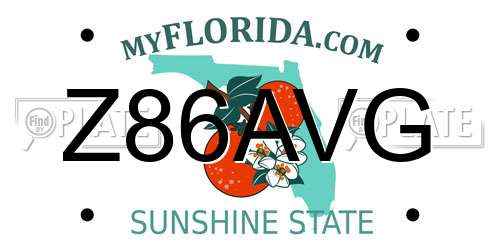 Z86AVG Florida License Plate