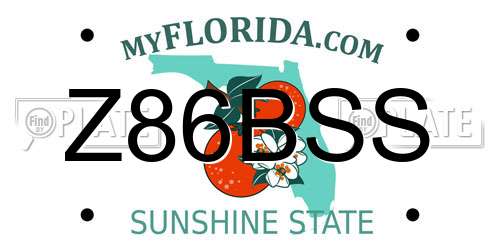 Z86BSS Florida License Plate