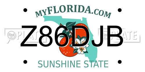 Z86DJB Florida License Plate