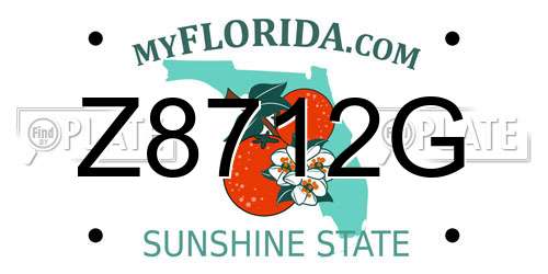 Z8712G Florida License Plate