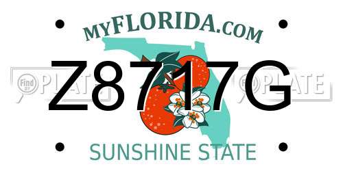 Z8717G Florida License Plate