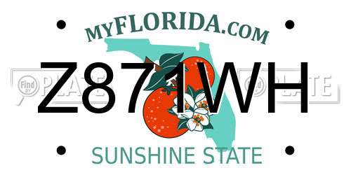 Z871WH Florida License Plate