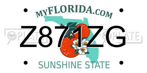 Z871ZG Florida License Plate