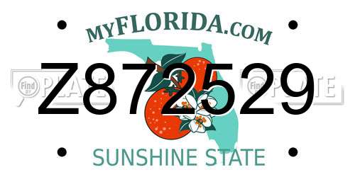 Z872529 Florida License Plate