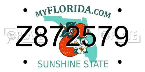 Z872579 Florida License Plate