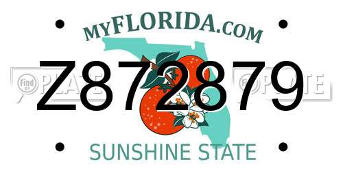 Z872879 Florida License Plate