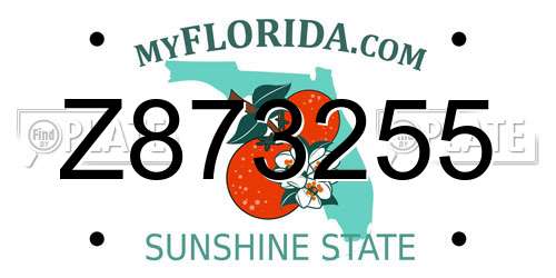 Z873255 Florida License Plate