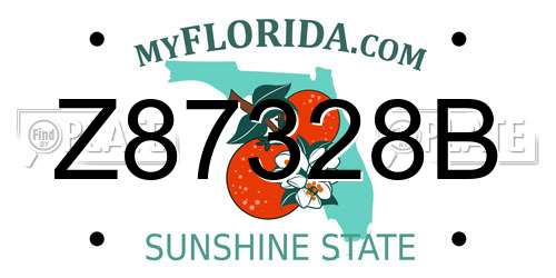 Z87328B Florida License Plate
