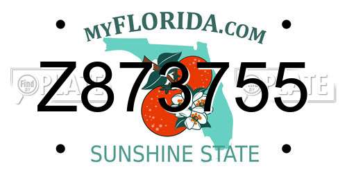 Z873755 Florida License Plate