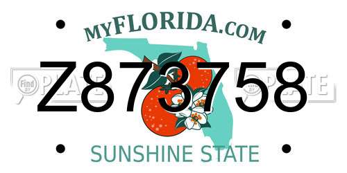 Z873758 Florida License Plate