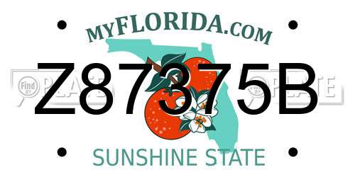 Z87375B Florida License Plate