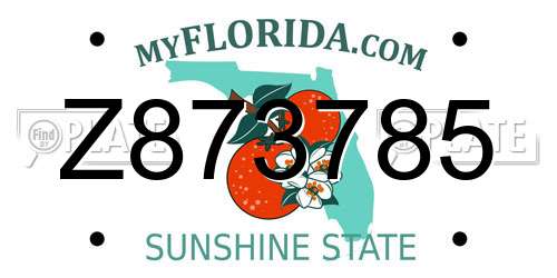 Z873785 Florida License Plate
