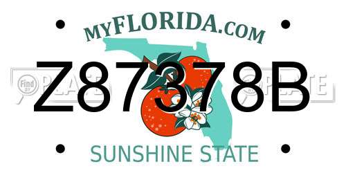 Z87378B Florida License Plate