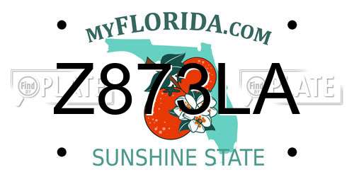 Z873LA Florida License Plate