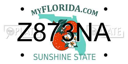 Z873NA Florida License Plate