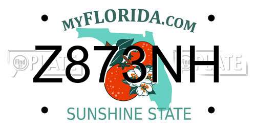 Z873NH Florida License Plate
