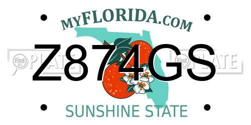 Z874GS Florida License Plate