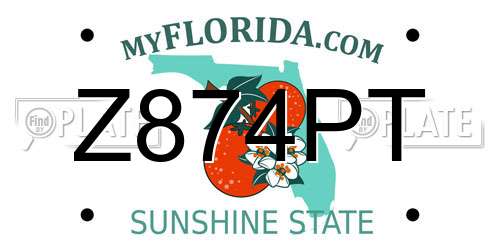Z874PT Florida License Plate