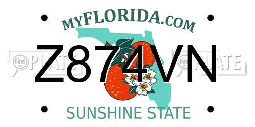 Z874VN Florida License Plate
