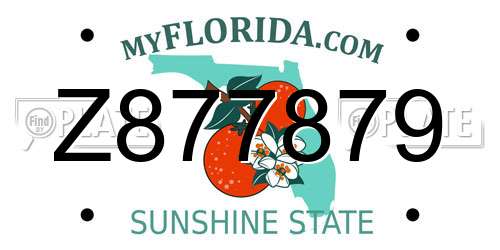 Z877879 Florida License Plate