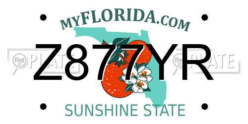 Z877YR Florida License Plate