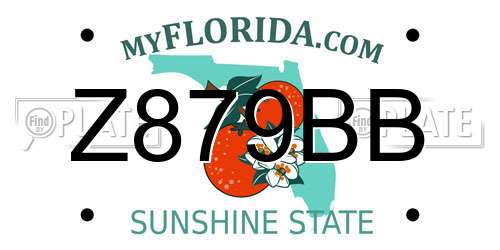 Z879BB Florida License Plate