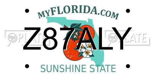 Z87ALY Florida License Plate