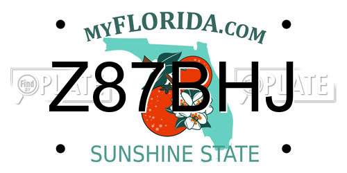 Z87BHJ Florida License Plate