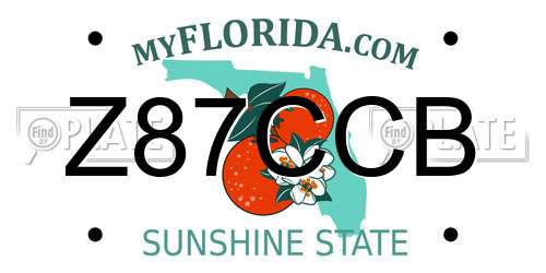 Z87CCB Florida License Plate
