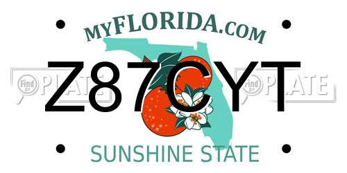 Z87CYT Florida License Plate