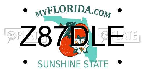 Z87DLE Florida License Plate