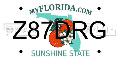 Z87DRG Florida License Plate