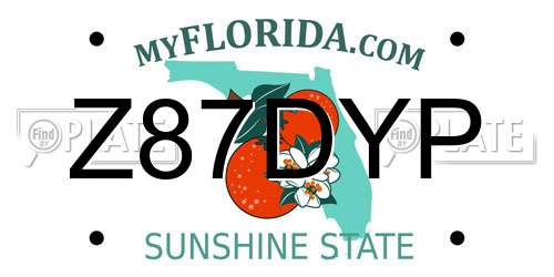 Z87DYP Florida License Plate