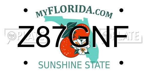 Z87GNF Florida License Plate