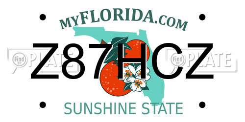 Z87HCZ Florida License Plate