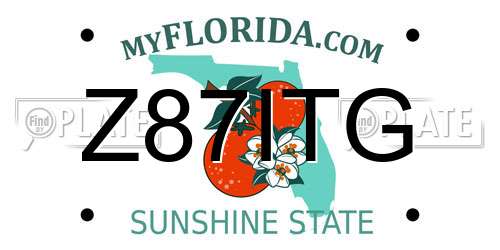 Z87ITG Florida License Plate