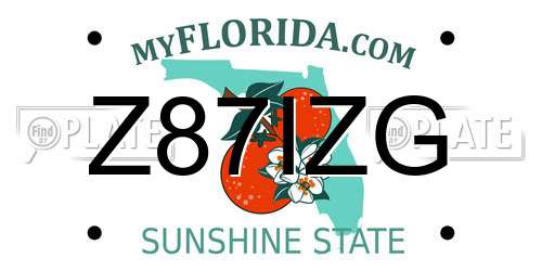 Z87IZG Florida License Plate