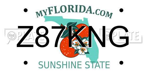 Z87KNG Florida License Plate