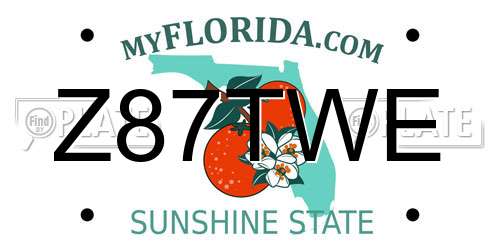 Z87TWE Florida License Plate