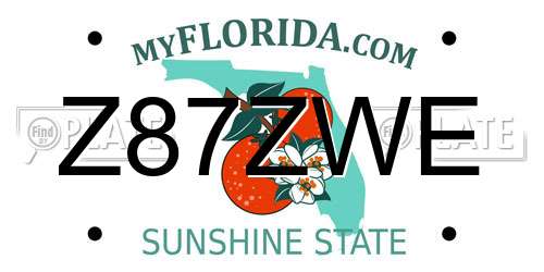 Z87ZWE Florida License Plate